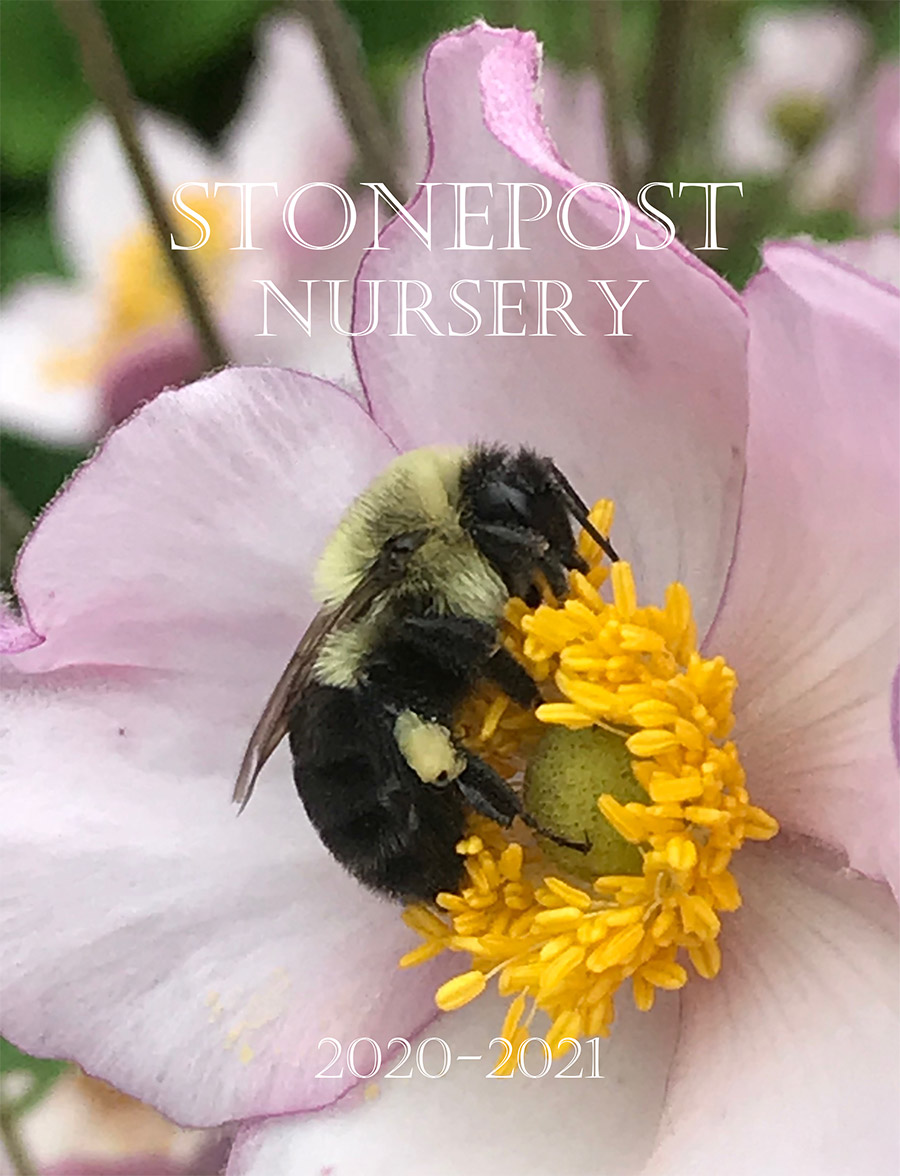 Stonepost-Nursery-Catalog-Cover-2020-2021